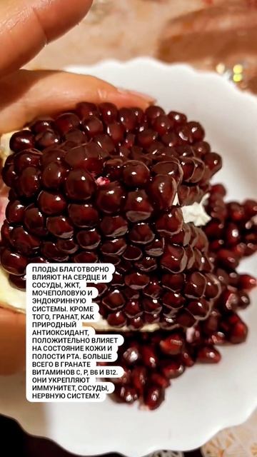 польза граната #гранат #польза #пп #еда #здоровье #витам смотреть онлайн