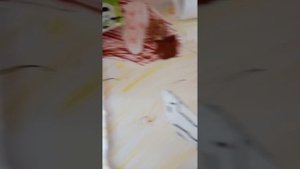 Новый житель кролик 🐰 Мики. Обзор на его клетку