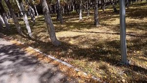 С этого месяца у нас раздельный бюджет. У каждого — св?