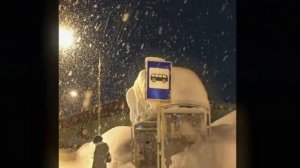 бредишь - на руках (hardstyle remix) | plague