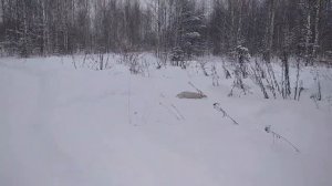 ФИЛЬМ О НАС