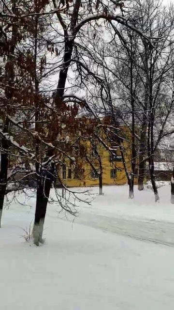 падал белый ❄снег❄❄ #природа #природа_россии #снег смотреть онлайн