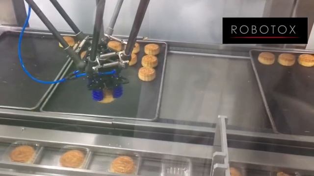 Упаковка печенья в блистер роботом ROBOTOX D800
