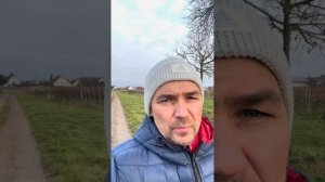 Новые изменения в Германии с 2025 года