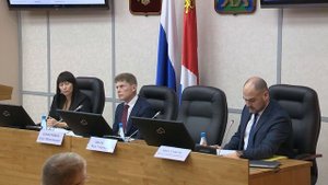 Совет по привлечению инвестиций в экономику Приморск?