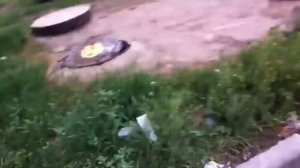 Сборник приколов#2 Щас зарежу наху эээ