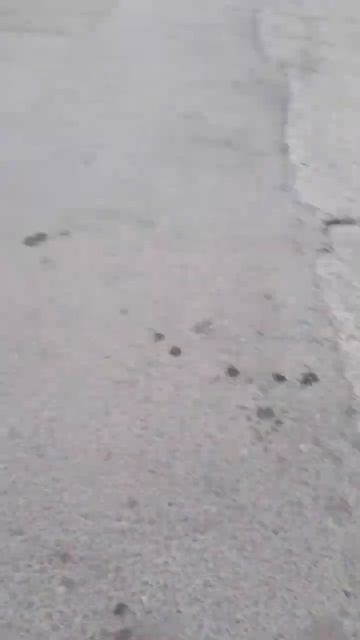 я поставила эту песню чтоб там не было слышко одно сло? смотреть онлайн