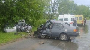 Аварии и ДТП на дорогах ТОРОПЫГИ за рулем