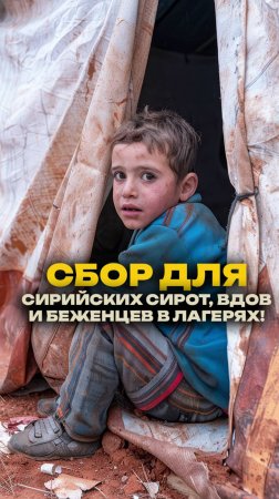 💔 🇸🇾 Сбор для сирийских сирот, вдов и беженцев в лагерях