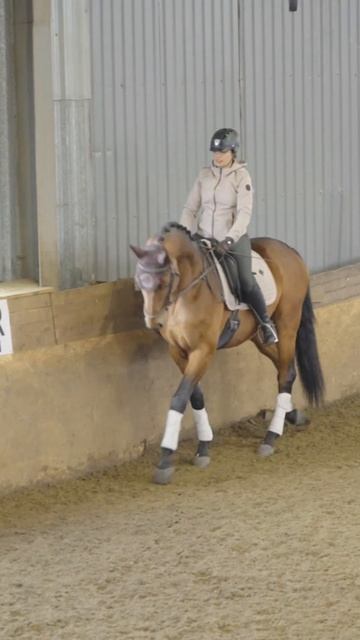 ЛОШАДЬ: ТАКОГО БЫТЬ НЕ ДОЛЖНО #лошади #конный_спорт #за? смотреть онлайн