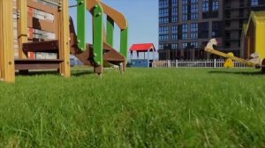 родные просторы