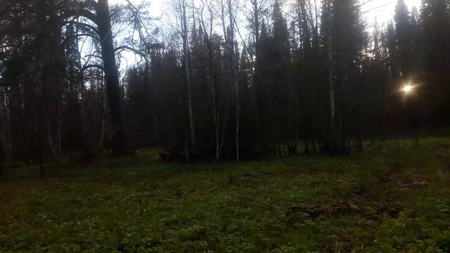 НА ВЕЧЕРНЕЙ ТЯГЕ.mp4