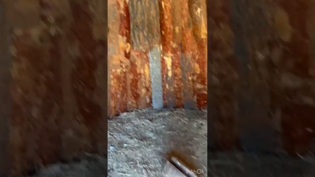 г.Барнаул. Стоянка древнего чела.👍 смотреть онлайн