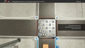 Конвейерные весы и сортировка по массе