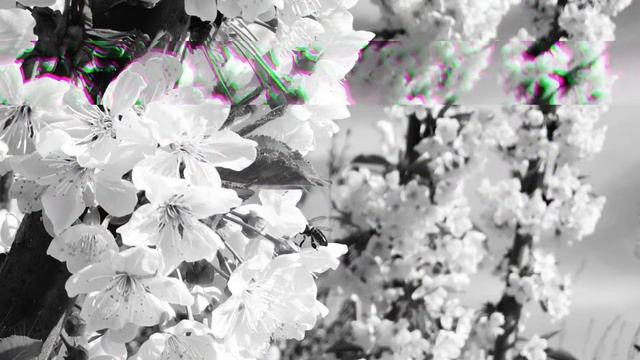 Нурислам Жакыпов " Like a star " Corinne Bailey Rae / Nurchik (cover) смотреть онлайн