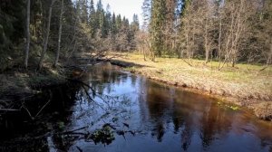 Большая Валдайская тропа (2025), серия 4