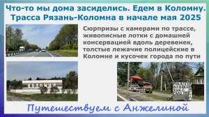 Что-то дома засиделись. Едем в Коломну. Трасса Рязань-Коломна. Камеры, толстые лежачие полицейские