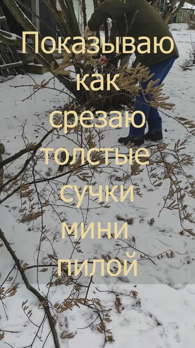 Даже толстые сучки пилит- удивился. Мини пила на аккумуляторе в работе смотреть онлайн