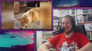 ЗАСМЕЯЛСЯ - ПОДПИСАЛСЯ!! ЛУЧШИЕ ПРИКОЛЫ 2021 ТЕСТ НА ПСИХИКУ УГАР! #425 - РЕАКЦИЯ НА СОЮЗ СМЕХА