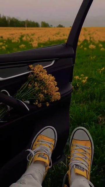 вечерний запах полный цветов, что может быть лучшим ан смотреть онлайн