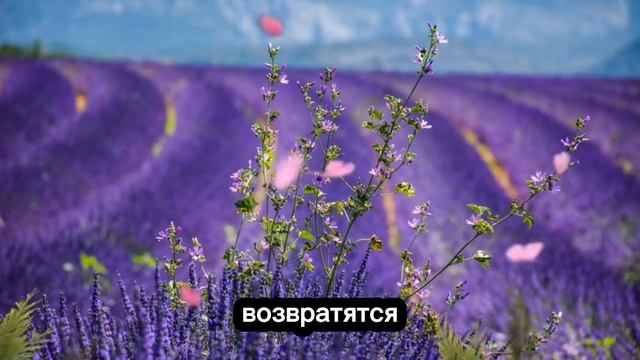 В мире происходит много страшного, но благодаря Иисус?