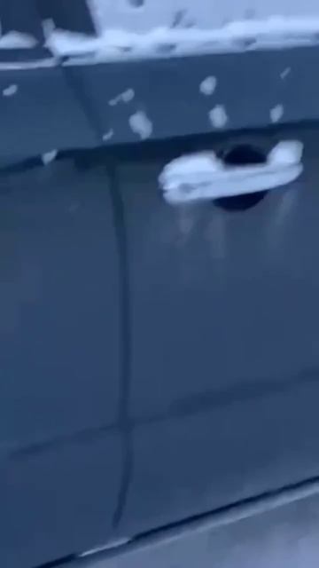 п.г.т. Мотыгино Красноярский край 🎄лисы в центре 🦊пр? смотреть онлайн