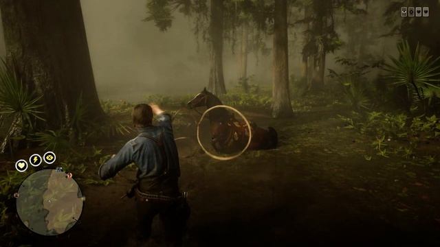Баги Red Dead Redemption 2