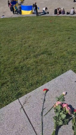 день победы 2025 ступеньки к памятнику войну освободителю