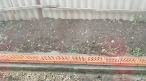 9-05-2025 Праздники отмечает каждый по-разному.