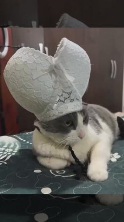 Вот, он, новый Папа)))
