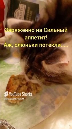 Рыбные, аппетитные котлеты!