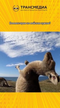 как отдыхается?