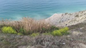 Анапа 10.05.2025
прогулка к морю.