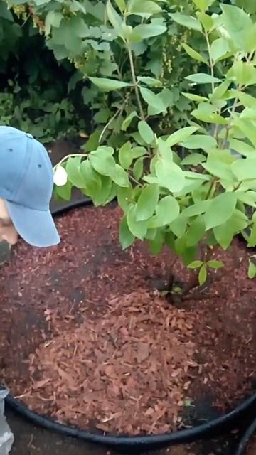 3 июля 2024 г. смотреть онлайн