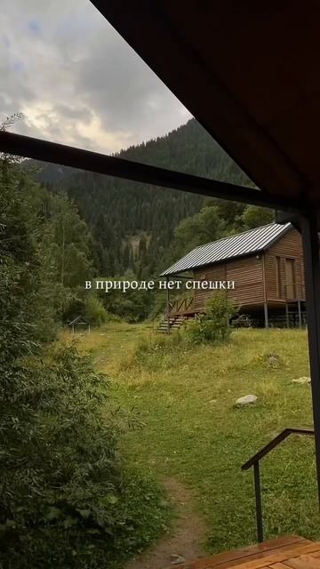 Самые уютные домики в горах Алматы! 📍Аюсай смотреть онлайн