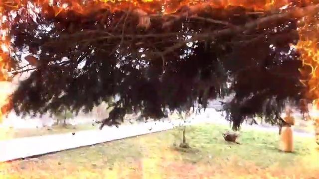 У тебя есть я #япою смотреть онлайн