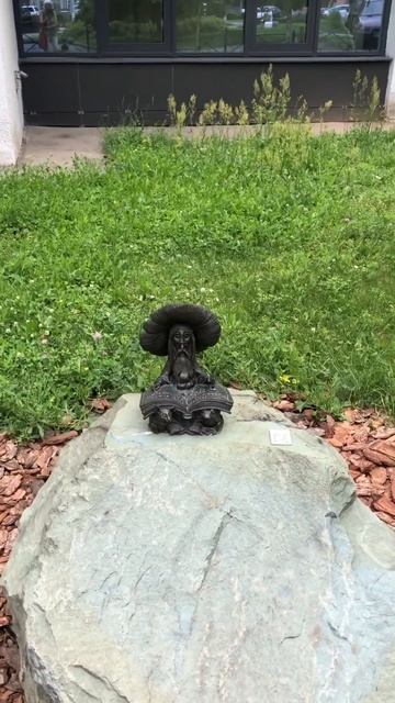 В Рязани грибы с глазами. смотреть онлайн