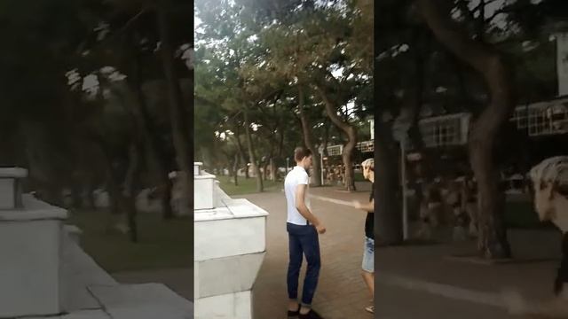 🇷🇺Герои ГЕЛЕНДЖИКА 🐬Черное море смотреть онлайн