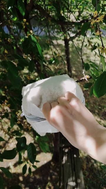 Шьём трендовую косметичку Тедди diy творчество шитье