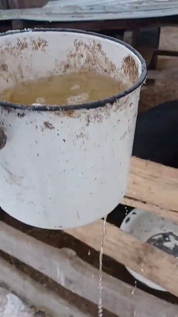 Удобно, когда рядом есть вода для животных смотреть онлайн