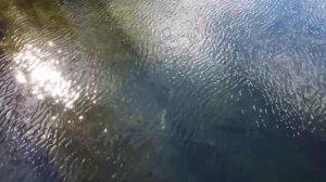 Тургояк часть 4