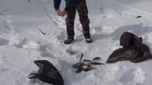 щука зимой на летнюю блесну