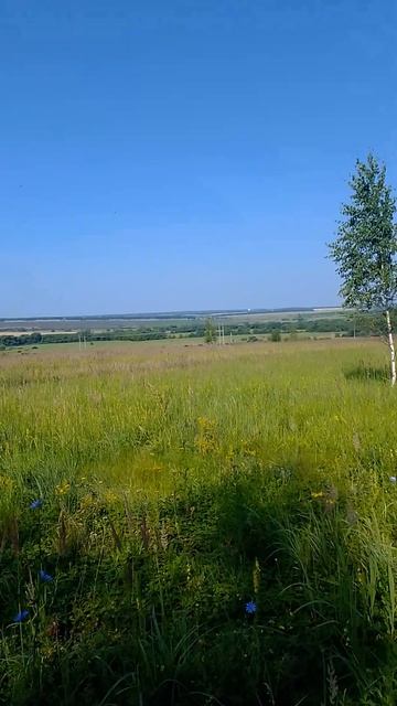 Пензенской области Иссинский район село Приволье смотреть онлайн