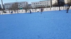 Щенок впервые видит снег Зима пришла