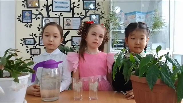 Мен зерттеушімін Роль комнатных растений в жизни че?