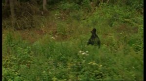 The Temple Of The King cover ex Rainbow (Ritchie Blackmore - русский текст А.Баранов)