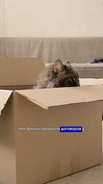 В России появятся жилищные вклады