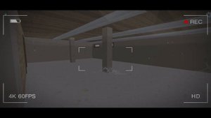 ОТПРАВИЛСЯ В ДОМ С ПРИЗРАКАМИ В ЧИКЕН ГАН