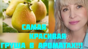 ВСЕ МОИ АРОМАТЫ С НОТОЙ ГРУШИ В КОЛЛЕКЦИИ!!! 🔥ТАКАЯ РАЗНАЯ, ШИКАРНАЯ И КРАСИВАЯ ГРУША!!! 🔥