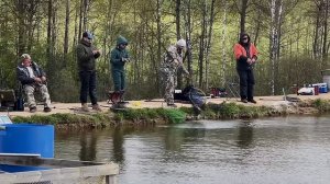 Утренние поимки на водоеме
